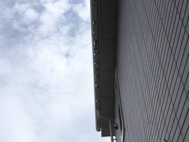 姫路市の雹で穴が空いた軒樋